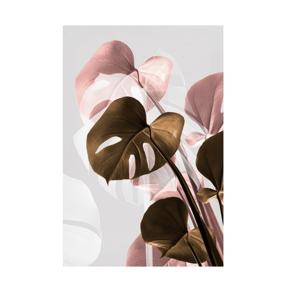 Trademark Fine Art Pictufy Studio Monstera Creative 11 Canvas Wall Art