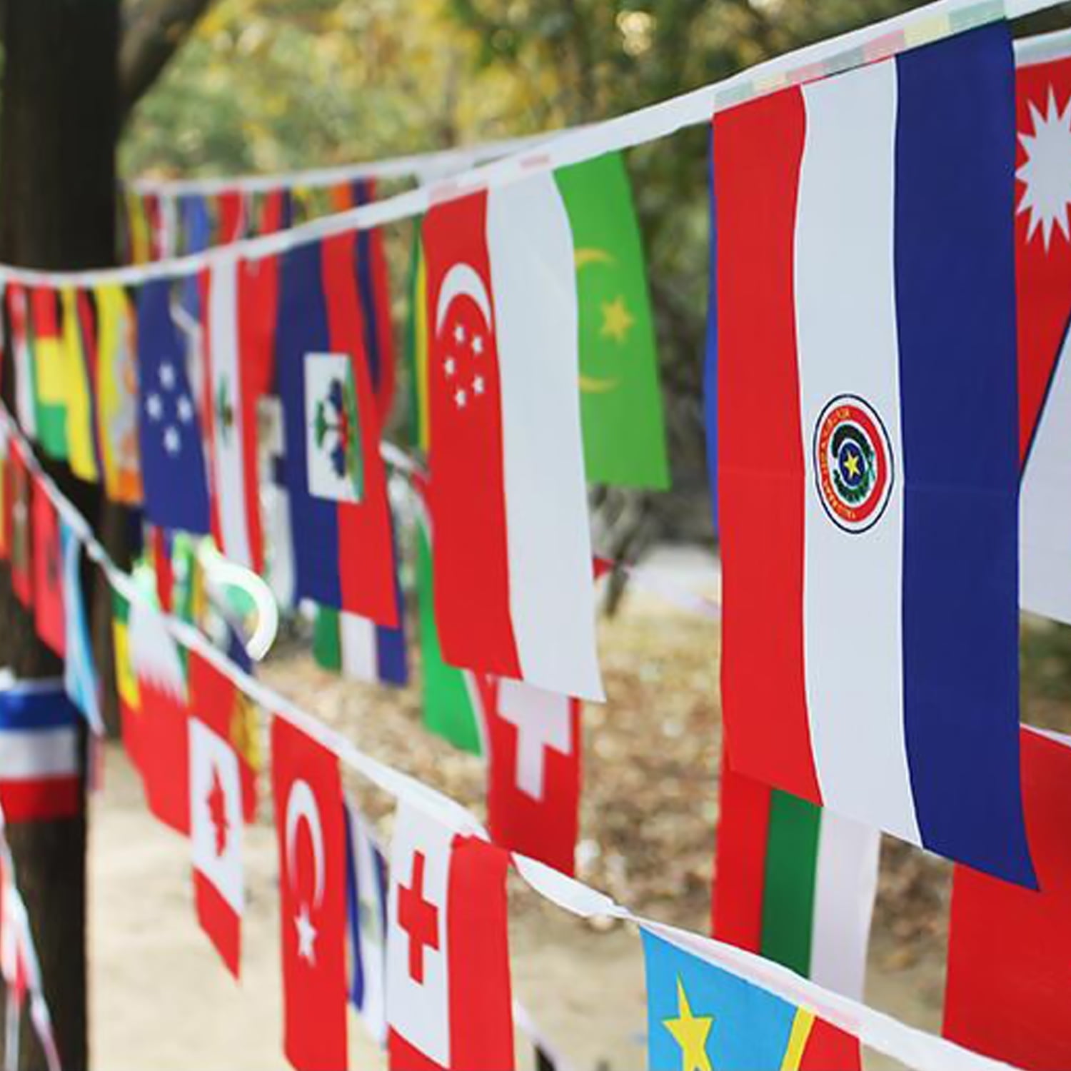 ANLEY 100 Countries String Flag International Bunting Pennant Banner,... 