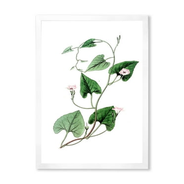 Designart 'Ancient Green Leaves Plants IX' Traditional Framed Art Print