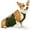 green, variant on UOSIA Waterproof Corgi Raincoat - Dog Belly Vest & Chest Protector, Breathable, Anti-Dirty Pet Apparel for Dogs,XL,grey