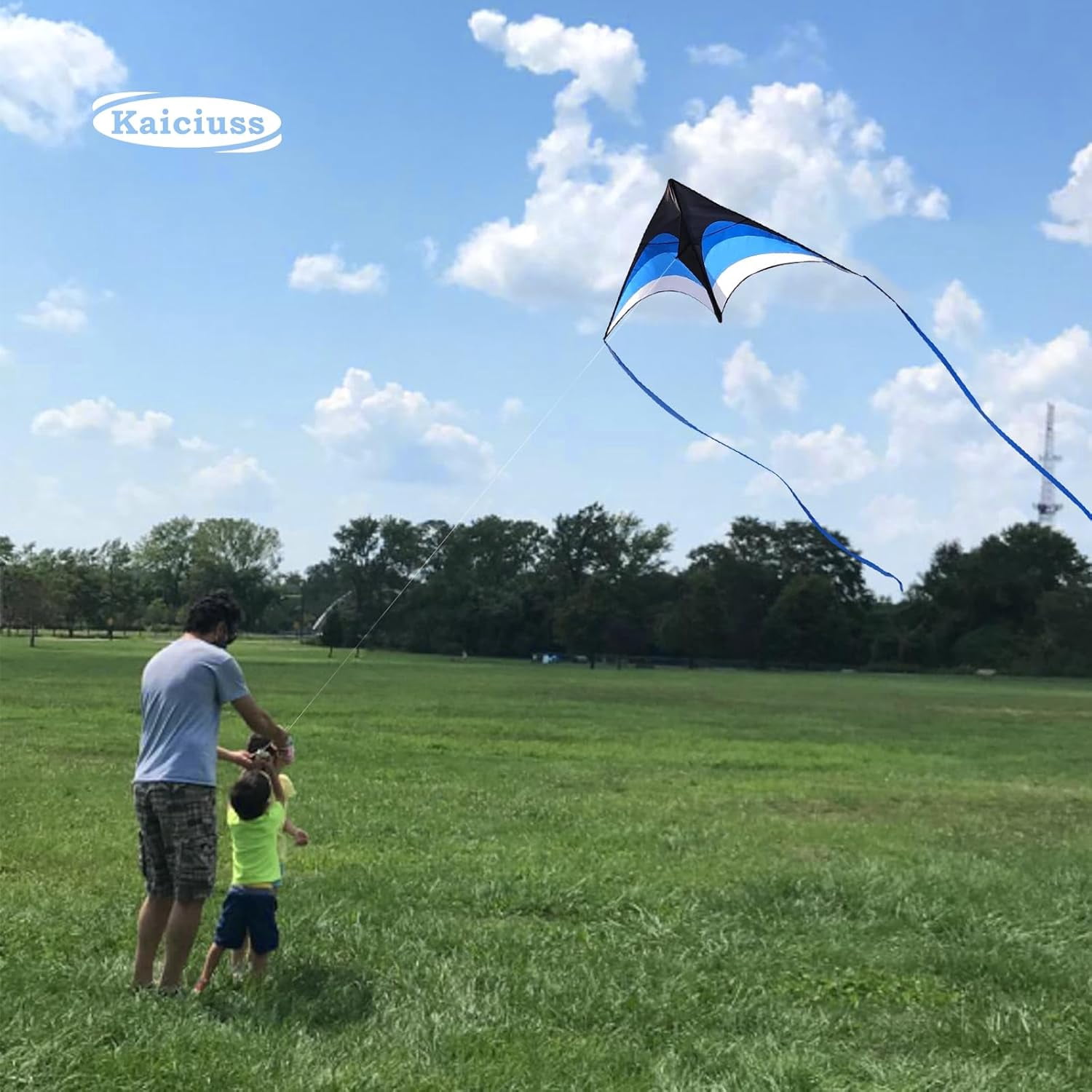 Delta Kite Set for Adults and Kids, Single Line Beach Kites with Three Handles and String