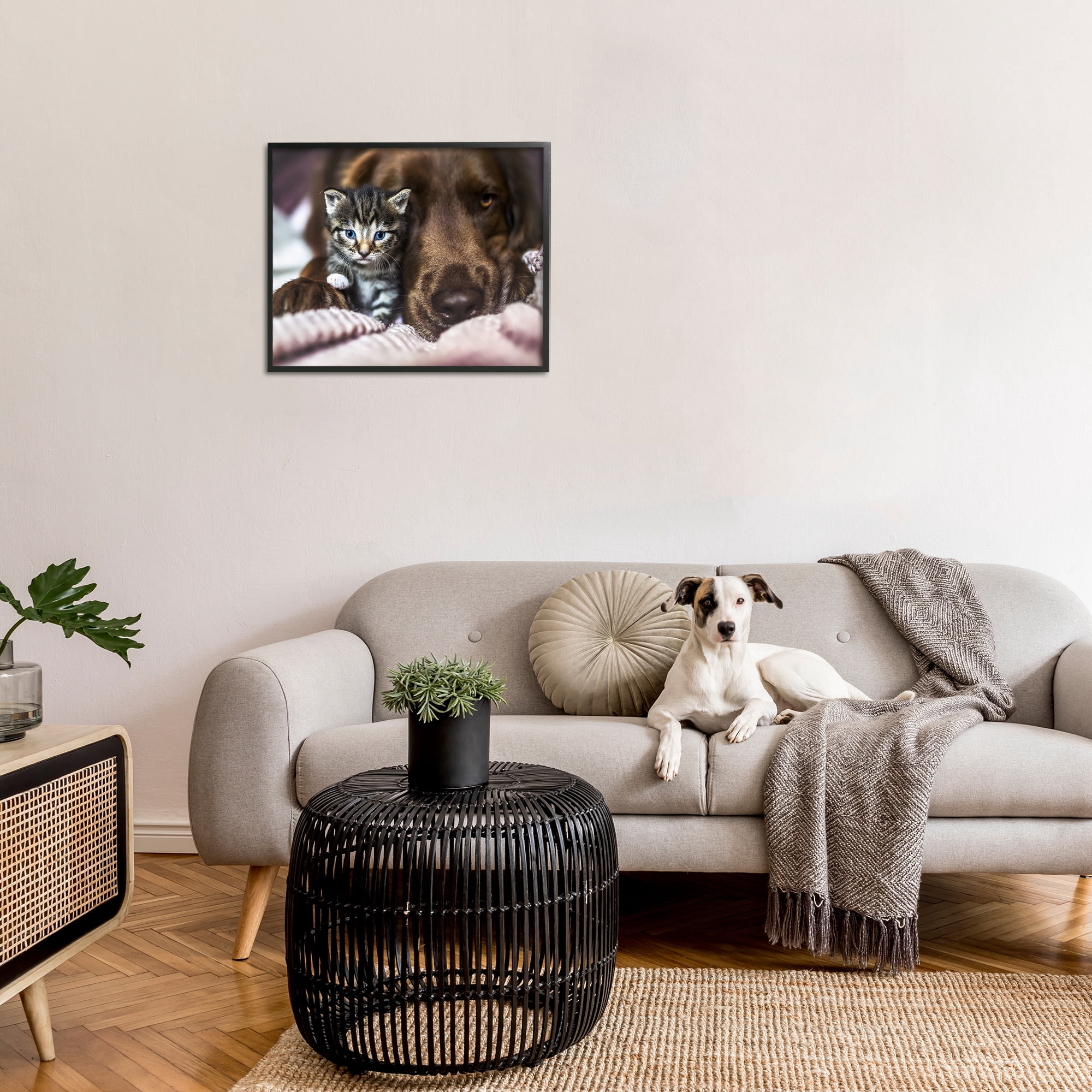 Stupell Industries Kitten & Dog Snuggling Animals & Insects Painting Black Framed Art Print Wall Art, 30 x 24