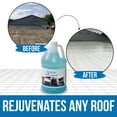 thumbnail image 6 of Roof Cleaner/Protect - Gallon, 6 of 6