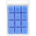 ScentSationals® Illusion Scented Wax Cubes 3 ct Box