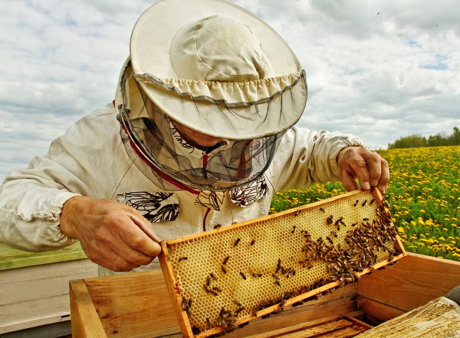 Beekeeping Tools Bulk Natural Organic Bees Wax/Natural Beeswax