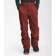 thumbnail image 3 of The North Face Freedom Snow Pant - Men's, 3 of 23