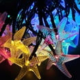 thumbnail image 4 of Dinheiro 30 luces LED solares de estrella de mar con 8 modos de iluminación, luces de cadena de hadas para jardín, patio, césped, 4 of 5