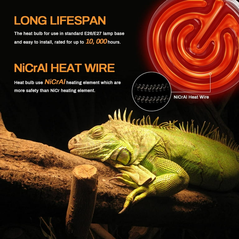 Iguana heat cheap lamp wattage