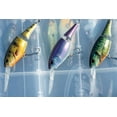 thumbnail image 5 of Berkley Flicker Shad Jointed Fishing Lure, Fool's Gold, 1/5 oz, 5 of 9