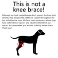 thumbnail image 6 of Pet Artist Dog Knee Brace for Torn Acl Hind Leg Large Small Back Legs Arthritis Pet Injury, 6 of 16
