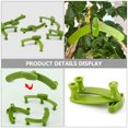 thumbnail image 3 of BALAHAPY 12Ud Abrazaderas Ajustables Para Entrenamiento Y Soporte De Ramas En Jardín Color, 3 of 8