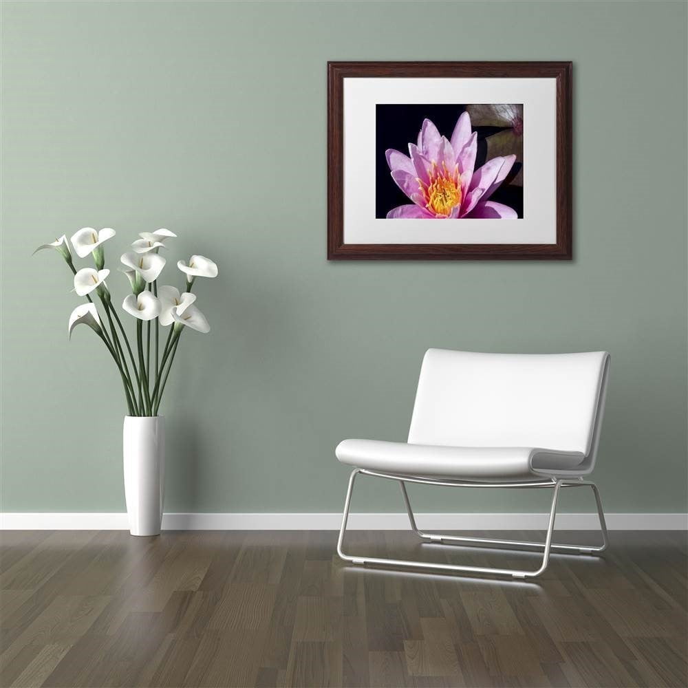 Trademark Fine Art "Pink Water Lily" Canvas Art by Kurt Shaffer, White Matte, Wood Frame