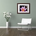 thumbnail image 3 of Trademark Fine Art "Pink Water Lily" Canvas Art by Kurt Shaffer, White Matte, Wood Frame, 3 of 3