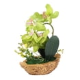 thumbnail image 3 of Masteelf Plants Simulated Phalaenopsis Bonsai 27*17.5cm Green, 3 of 8