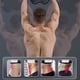 thumbnail image 3 of Tabla De Ruedas Abdominales, Core Coaster Entrenador Abdominal Dispositivo De Ejercicio Antideslizante Equipo De Entrenamiento Para Gimnasio En Casa Fitness, 3 of 7