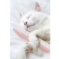 thumbnail image 2 of Tijeras para perros, tijeras inalámbricas para gatos y cachorros, cortapelos eléctrico de bajo ruido para mascotas, tijeras de peluquería canina para recortar patas, pelo alrededor de los oj, 2 of 3