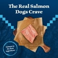 thumbnail image 4 of Blue Buffalo Wilderness Trail Treats Wild Bits Training Treats for Dogs, Salmon, 10-oz., 4 of 10
