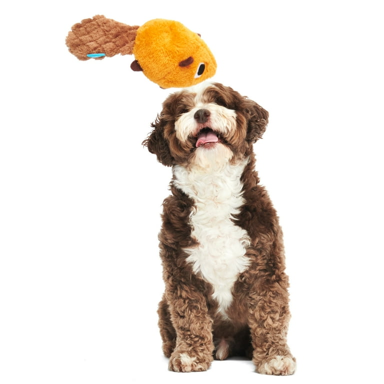 2 dog retractable leash Mighty Paw Retractable Dog Leash 2.0
