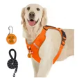 thumbnail image 1 of Pechera Arnés Reflectante Para Perros Con Correa Y Luces Led, 1 of 8