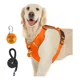 thumbnail image 1 of Pechera Arnés Reflectante Para Perros Con Correa Y Luces Led, 1 of 8
