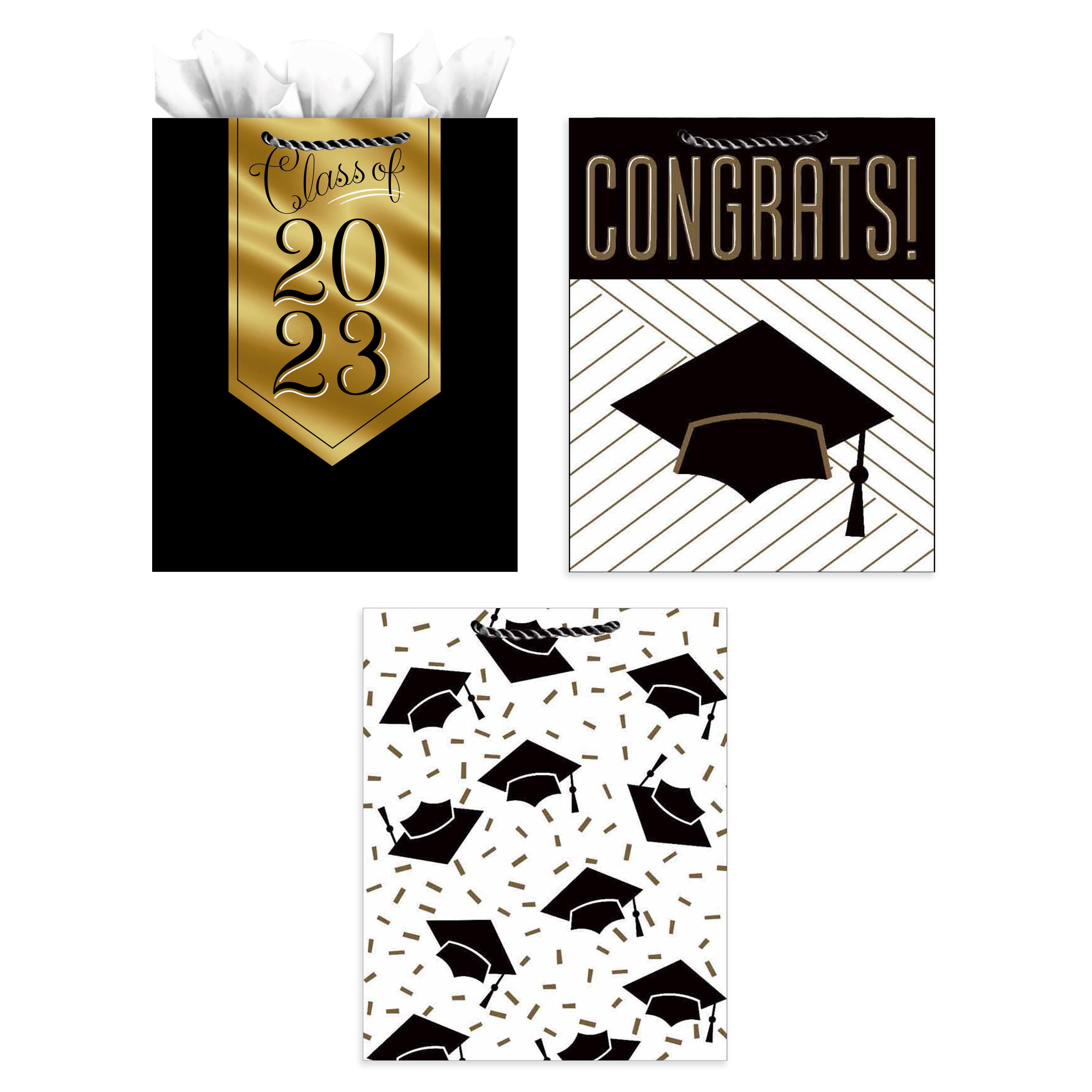 Hallmark 13" Large Graduation Gift Bags Assortment with Tissue Paper (3