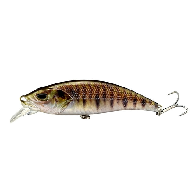 Hearth & Gear Swimming 3D Swimming Reusable Fishing That Swim By Itself Fishing Suitable For All Kinds Of Waters Baitcaster Combo Left Handed Catfish Baitcaster Rod Baitcaster Rod Baitcaster Rod Socks
