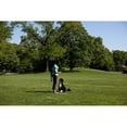 thumbnail image 2 of First Lady Michelle Obama Gestures To Bo The Obama Family Dog On The South Lawn Of The White House April 29 2010., 2 of 2
