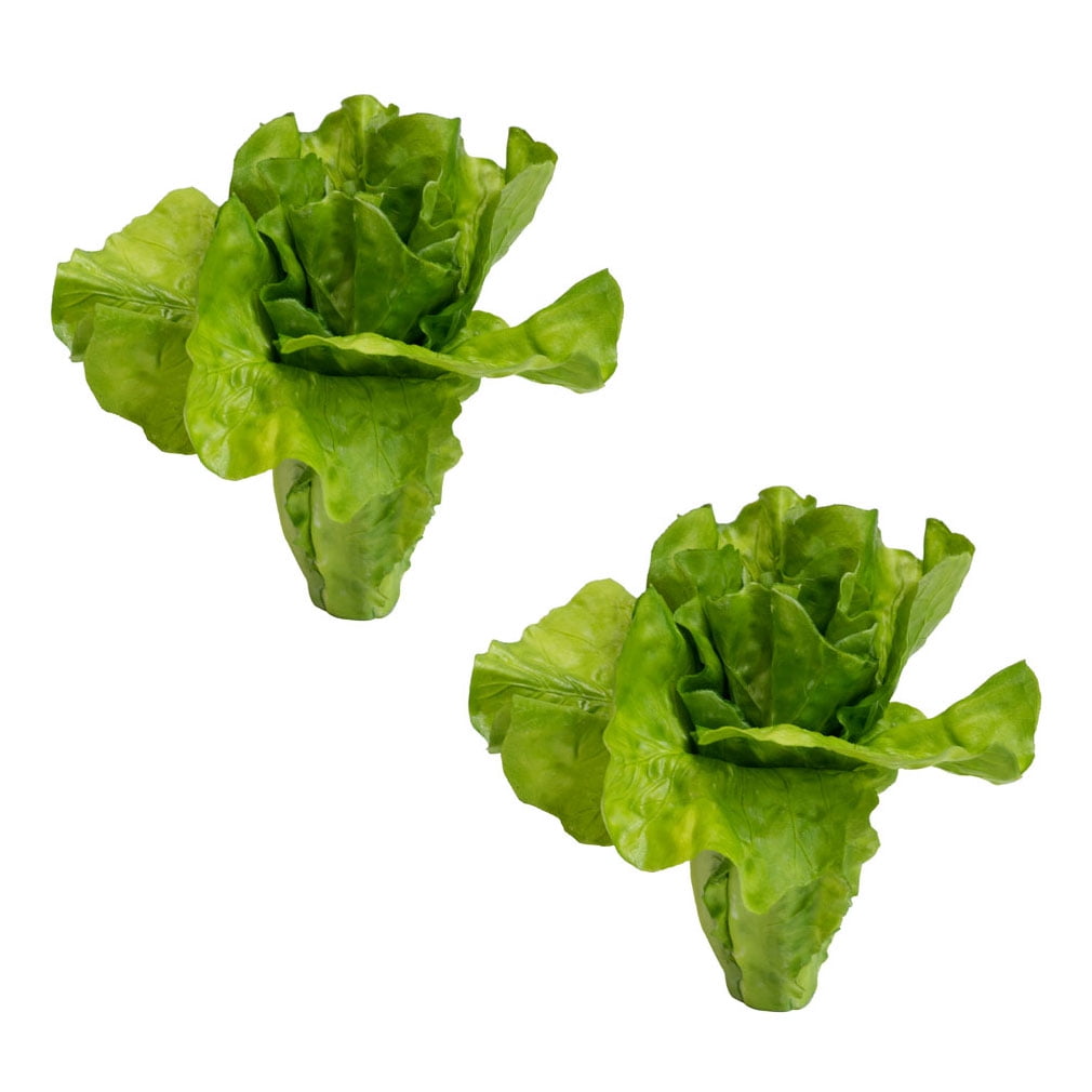 A&B Home Real Touch Ornamental Lettuce Stem, Dark Green Botanical/Dark
