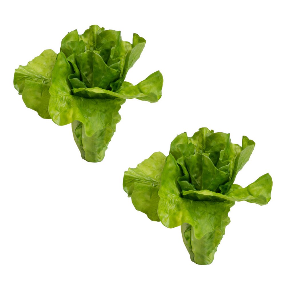 A&B Home Real Touch Ornamental Lettuce Stem, Dark Green Botanical/Dark