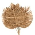 thumbnail image 5 of 32" Tall Spear Dried Plant Natural Foliage Bouquet with Sharp Stems, by DecMode, 5 of 9