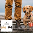 thumbnail image 4 of Pet Tag Dog Name Tags for Anti-Lost Identification 3Pcs Set, 4 of 4