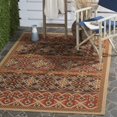 SAFAVIEH Veranda Moriah Southwestern Indoor/Outdoor Area Rug, 5'3