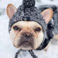 thumbnail image 3 of Billuyoard Gorros de invierno para perros para mayor calidez y un aspecto moderno Gorro cálido para perros de invierno Gorros cálidos para Ropa para mascotas rojo violáceo M, 3 of 6