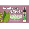thumbnail image 4 of 3 Frascos de Aceite De Neem JYE, Natural libre de químicos, para todo tipo de piel, 4 of 7