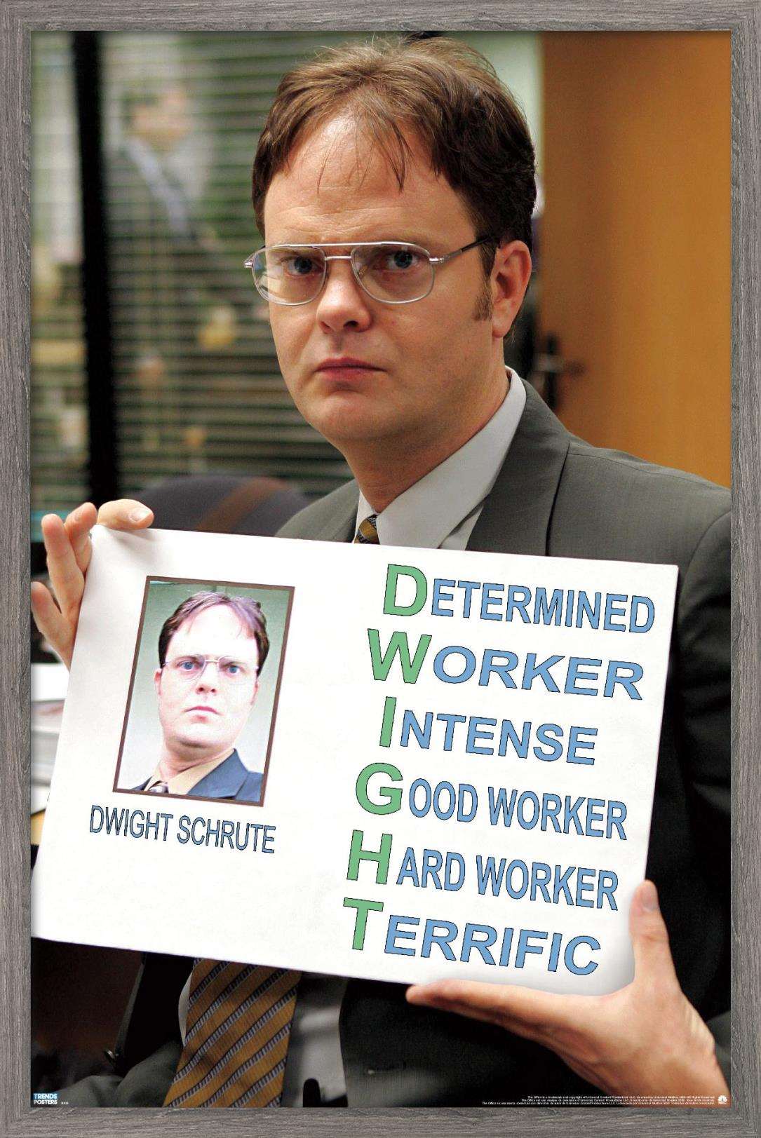The Office Dwight Schrute Characteristics 16.5" x 24.25" Framed