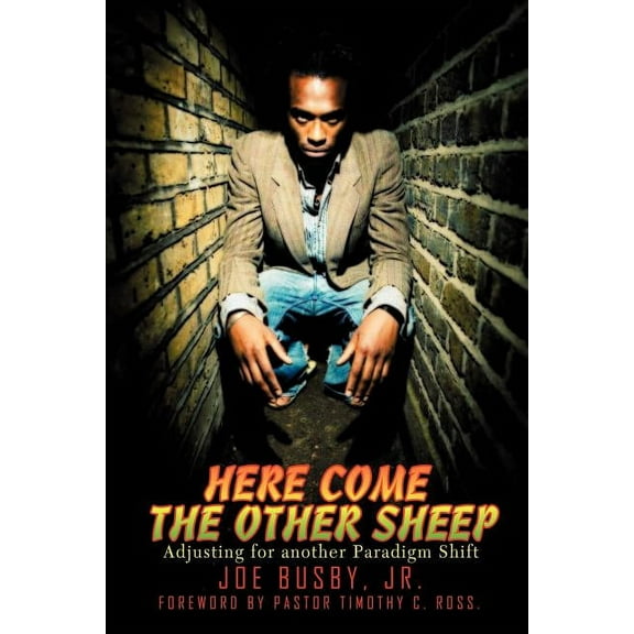 Here Come the Other Sheep: Adjusting for Another Paradigm Shift (Paperback)