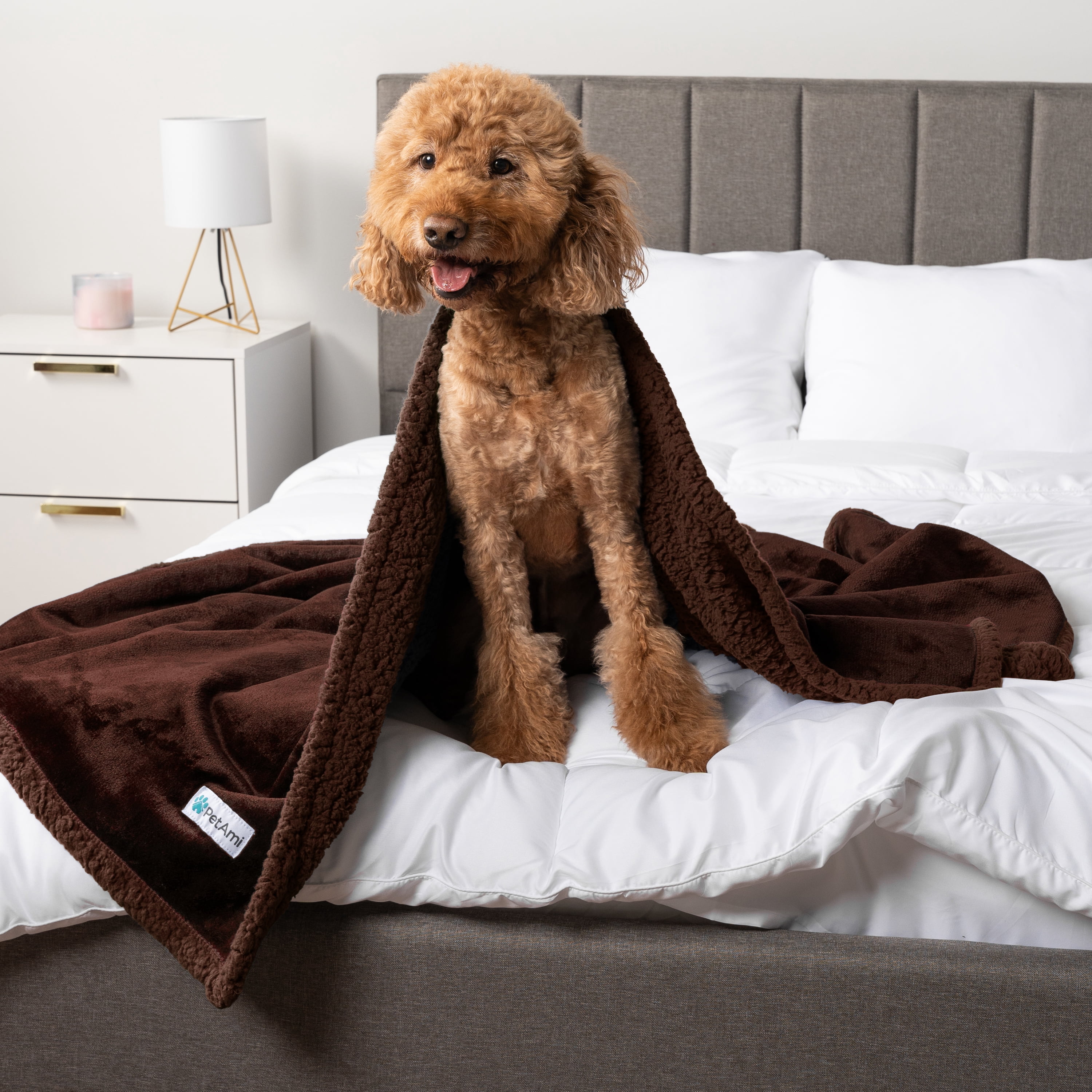 PetAmi Waterproof Dog Blanket for Medium Large Dog Puppy Cat Throw for Couch Cover Leakproof Protection, Sherpa Fleece, Reversible Soft Washable 60x40 Brown Brown