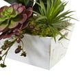 thumbnail image 3 of Nearly Natural Seasonal Orchid & Succulent Garden w/White Wash Planter, 3 of 4
