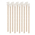 thumbnail image 1 of 10 Estacas para Plantas de Electrocultivo, Antenas de Bobina de Cobre de 12 Pulgadas, Estacas para Jardín, Plantación Electrónica para Huerto, 1 of 5
