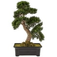 thumbnail image 2 of Cedar Bonsai 24" Silk Plant, 2 of 5