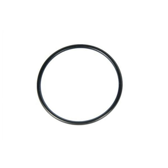 Brake Master Cylinder Seal