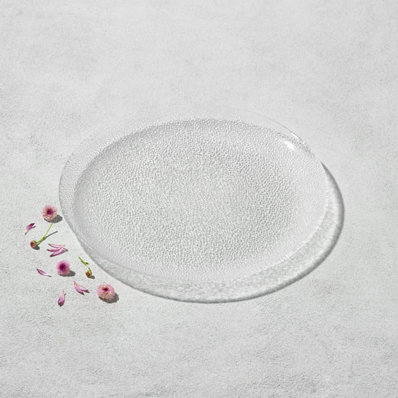 Ocean Decor Glass Dinner Plates: Set of Four Clear Glass Plates - Fancy Textured Glass Dishes Set - Dishwasher Safe Plates - Service for Four (Ocean)