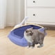 thumbnail image 1 of Caja de arena para gatos para todo tipo de arena para gatos, de lados altos, fácil de limpiar, arenero semicerrado para gatos, orinal, caja de arena p violeta, 1 of 8