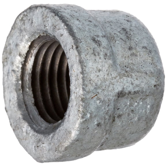 Conexión para manguera LDR Industries 311 CA-14, tapa galvanizada de 1/4 pulgadas