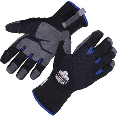 

Ergodyne unisex adult Glove thermal Insulated Touchscreen Palms Reinforced Thermal Winter Work Gloves Black Large US