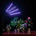 thumbnail image 6 of 4-Head LED Grow Light for Indoor Plants, Plant Light w/ Adjustable Stand (15"-62") & Dual Controllers, Full Spectrum Plant Growing Lights (Red/Blue/Mix), 4/8/12H Timer, 10 Brightness & Auto ON/Off, 6 of 11