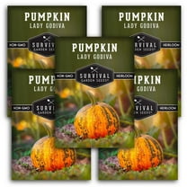 5 Packs Lady Godiva Pumpkin Seeds - Non-GMO Heirloom Full Sun Annual Vegetable