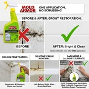 Home Armor; Mold Armor Instant Mold & Mildew Stain Remover, 32 oz - Pack of 2