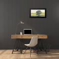 thumbnail image 4 of OToole, Tim 24x14 Black Modern Framed Museum Art Print Titled - Standing Alone II, 4 of 5