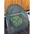 thumbnail image 2 of NuVue Products 25203 Pop-Up 36" x 36" x 38" Animal & Bug Guard Reuseable Plant Covers, High-Tech Synthetic, Pack of 2, 2 of 6
